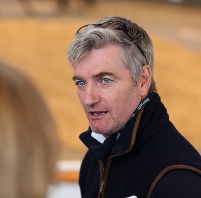 <br><br />
Tattersalls August Sale<br><br />
31/08/21