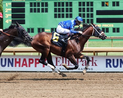 Shared Sense wins the Tri-State Overnight Stakes Saturday, August 7, 2021 at Ellis Park