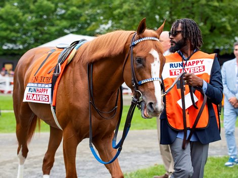 King Fury in the paddock before the Runhappy Travers Stakes (G1) at Saratoga Race Course in Saratoga Springs, N.Y., on Aug. 28, 2021.