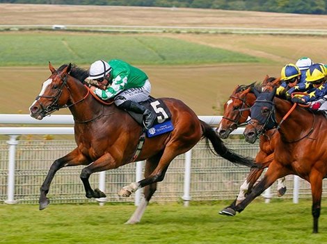 Pablo Escobarr wins the 2020 L&#39;Ormarins Queens Plate Glorious Stakes