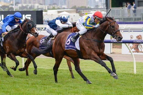 Banquo ridden by Damien Oliver wins the World Horse Racing Springtime Stakes at Flemington Racecourse on November 09, 2019 in Flemington, Australia. (Brett Holburt/Racing Photos) 