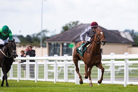 Ebro River and Shane Foley winning the Keeneland Phoenix Stakes (Group 1). The Curragh. Photo: Patrick McCann/Racing Post<br><br />
08.08.2021