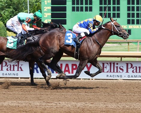 Asmussen, Ex-Illini riding high after Super Bowl win, Sports