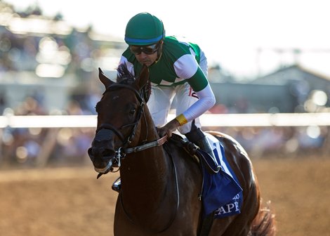 Rustlewood Farm's Pappacap and jockey Joe Bravo win the Grade II $200,000 Best Pal Stakes Saturday, August 7, 2021 at Del Mar Thoroughbred Club  in Del Mar, CA.  Benoit Photo