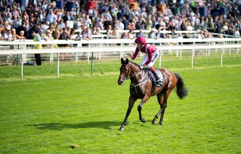 Mishriff (David Egan) parade after winning the Juddmonte International Stakes<br><br />
York 18.8.21