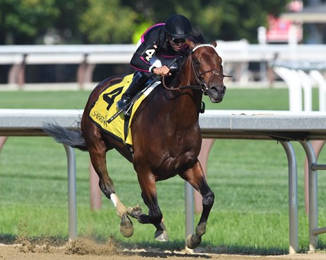 Art Collector wins the 2021 Alydar Stakes at Saratoga