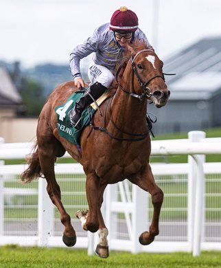 Ebro River and Shane Foley winning the Keeneland Phoenix Stakes (Group 1). The Curragh. Photo: Patrick McCann/Racing Post 08.08.2021