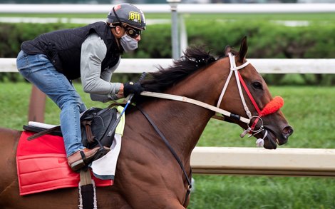 Letruska with jockey Irad Ortiz Jr. Saturday Aug 21, 2021 before running in the Personal Ensign next Saturday at the Saratoga Race Course in Saratoga Springs, N.Y.  Photo  by Skip Dickstein 