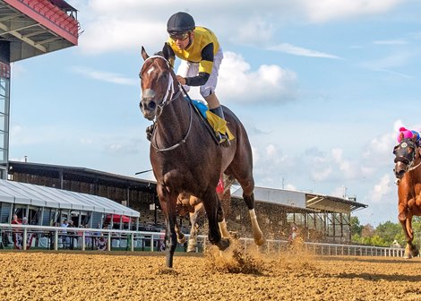 Jaxon Traveler wins the Star De Naskra Stakes Saturday, August 21, 2021 at Pimlico