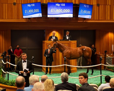 (L-R): Hip 132 colt by Bolt d’Oro out of Lotta Kim with Larry Best and Dede McGehee. <br>
Sales scenes at Fasig-Tipton in Saratoga Springs, N.Y. on Aug. 10, 2021. 