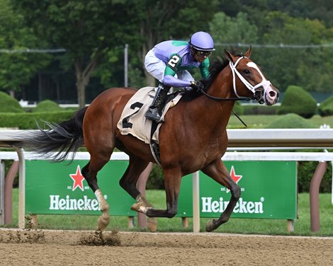 My Prankster wins a maiden special weight Saturday, August 21, 2021 at Saratoga