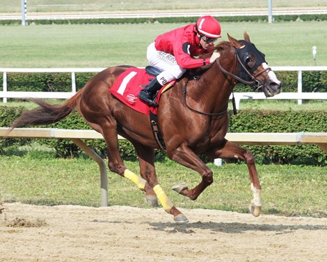 Sprawl wins the West Virginia Governor's Stakes Saturday, August 7, 2021 at Mountaineer