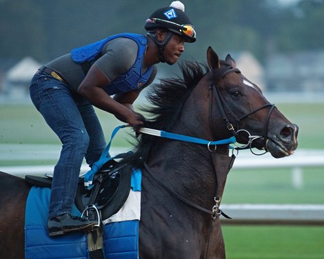 Silver State<br><br />
Saratoga training and sales scenes at Saratoga Oklahoma track and Fasig-Tipton in Saratoga Springs, N.Y. on Aug. 6, 2021. 