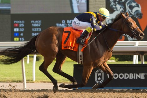 Jockey Luis Contreras guides Boardroom to victory in the $150,000 dollar Seaway Stakes at Woodbine.Boardroom is owned by LNJ Foxwoods and trained by Josie Carroll.