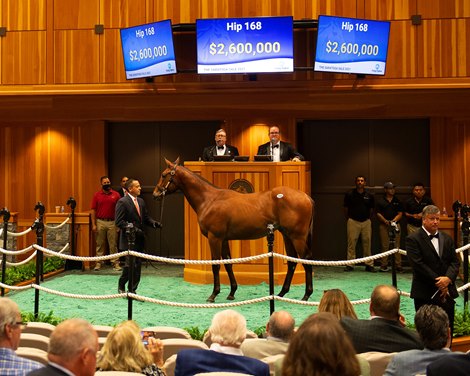 Hip 168 colt by Into Mischief out of Paola Queen from Gainesway<br><br />
Sales scenes at Fasig-Tipton in Saratoga Springs, N.Y. on Aug. 10, 2021. 