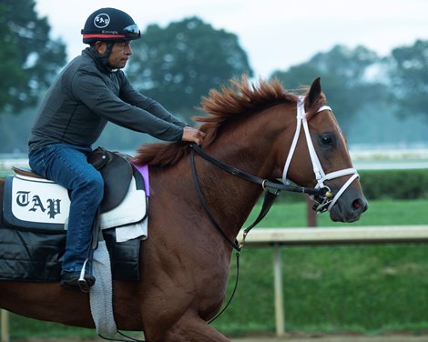 Happy Saver<br><br />
Saratoga racing scenes in Saratoga Springs, N.Y. on Aug. 5, 2021. 