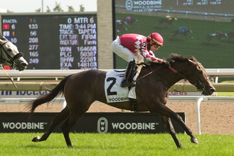 Jockey Antonio Gallardo guides Diabolic to victory in the $125,000 Catch a Glimpse Stakes at Woodbine Racetrack