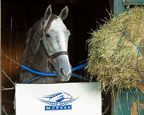 Crazy Beautiful<br>
Saratoga racing scenes in Saratoga Springs, N.Y. on Aug. 5, 2021. 