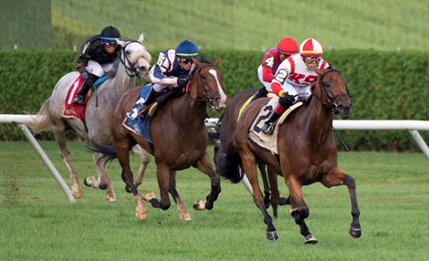 Technical Analysis with jockey Jose Ortiz #2 leads the field to the finish and  the win in the 38th running of the Lake Placid at the Saratoga Race Course Saturday Aug 21, 2021 in Saratoga Springs, N.Y.  