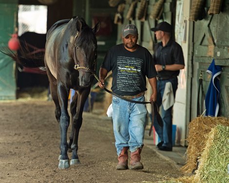 Maxfield<br><br />
Saratoga training and sales scenes at Saratoga Oklahoma track and Fasig-Tipton in Saratoga Springs, N.Y. on Aug. 6, 2021. 