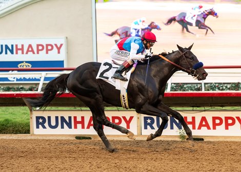 Medina Spirit and jockey John Velazquez win the $100,000 Shared Belief Stakes, Sunday, August 29, 2021 at Del Mar Thoroughbred Club, Del Mar CA.<br><br />
© BENOIT PHOTO