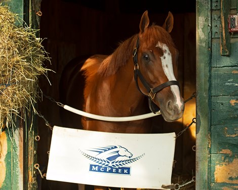 King Fury<br><br />
Saratoga racing scenes in Saratoga Springs, N.Y. on Aug. 5, 2021. 