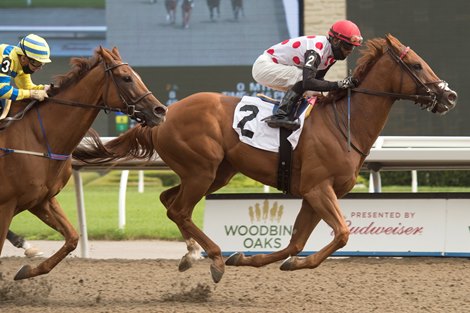 Jockey Patrick Husbands guides Live Oak Plantation's Souper Stonehenge to victory in the (Grade III) $150,000 dollar Vigil Stakes.Souper Stonehenge is trained by Mark Casse. Woodbine Michael Burns Photo