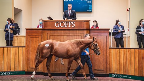 Lot 175, 2021 Goffs UK Premier Yearling Sale