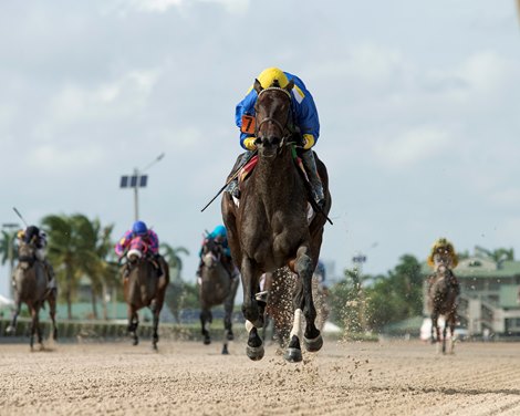 Outfoxed wins the 2021 FTBOA Florida Sire Susan&#39;s Girl Stakes at Gulfstream Park