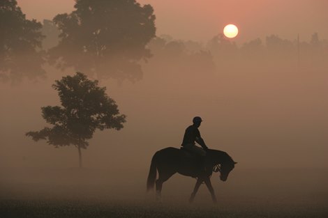 A horse and rider head to the training track at Josephine Abercrombie's Pin Oak Stud near Versailles, Ky.
