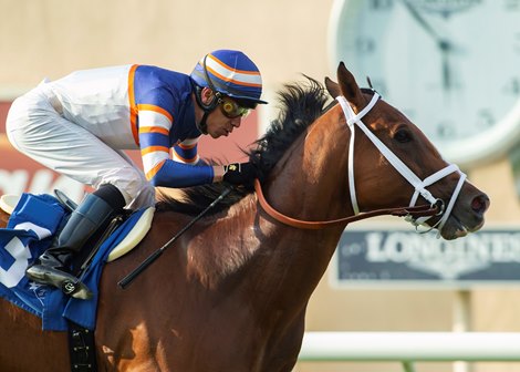 Lieutenant Dan and jockey Geovanni Franco win the Grade III $100,000 Green Flash Handicap Sunday, August 22, 2021 at Del Mar Thoroughbred Club  in Del Mar, CA.  Owner Nick Alexander and jockey Franco enjoy the moment. Benoit Photo