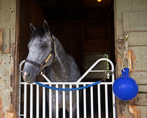 Knicks Go<br><br />
Scenes from New York Thoroughbred Breeders day during Travers week in Saratoga on Aug. 27, 2021. 