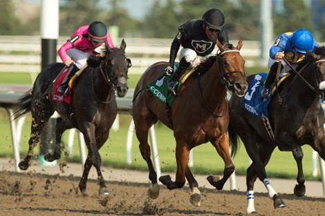 Jockey Patrick Husbands guides #5, II Malocchio (black silks black cap) to victory over #2 Emmeline (jockey Emma-Jayne Wilson) to capture the end 250,000 Bison City Stakes.Owned by Franco Meli and trained by Martin Drexler, II Malocchio cover the 1Mi.1/16 in 1.43.2.