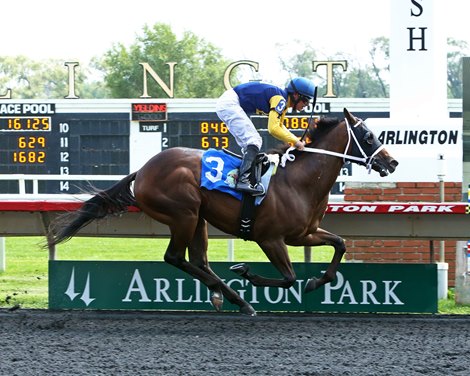 Adios Asher - MSW Win, Arlington Park - August 20, 2021