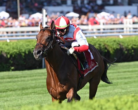 Public Sector wins the 2021 Saranac Stakes at Saratoga