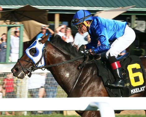 Pixelate wins the Mint Million Stakes Monday, September 6, 2021 at Kentucky Downs