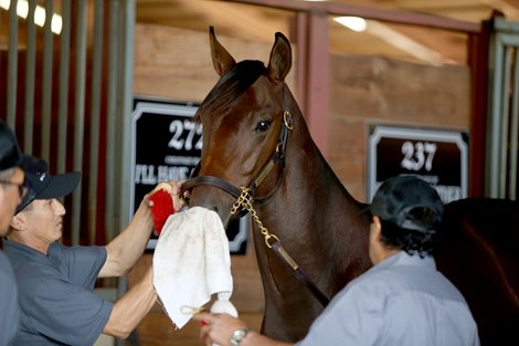 Scenes around the sales grounds, Fasig-Tipton California Fall Yearling Sale 2021, Fairplex at Pomona, CA 9.26.2021.