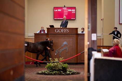 Henry Beeby Auction House at Goffs UK in Doncaster for 2 days of sales 2.9.20 Photo: Edward Whitaker
