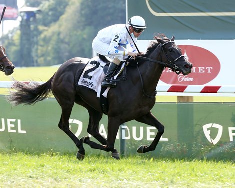 Princess Grace wins the Kentucky Downs Ladies Turf Stakes Saturday, September 11, 2021 at Kentucky Downs