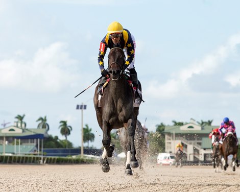 Outfoxed wins 2021 FTBOA Florida Sire My Dear Girl Stakes at Gulfstream Park