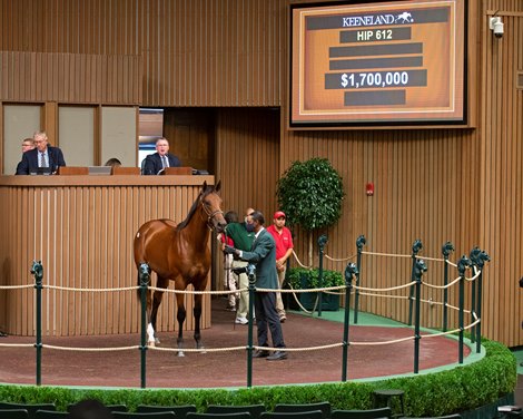 Hip 612 colt by City of Light out of Anchorage at Rosilyn Polan, Sunday Morning Farm<br><br />
Keeneland September yearling sales on Sept. 15, 2021. 