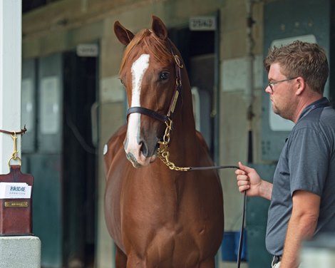 Hip 2698 Punctuality, colt by Union Rags out of Etiquette at Bridie Harrison, agent for Peter Blum Thoroughbreds<br>
Keeneland September yearling sales on Sept. 20, 2021. 