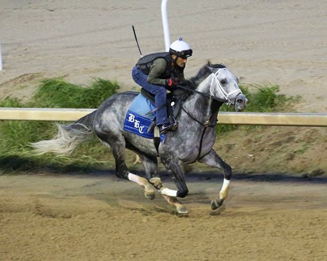 Knicks Go breezes 5 furlongs in 1:00.80 Saturday, September 25, 2021 at Churchill Downs