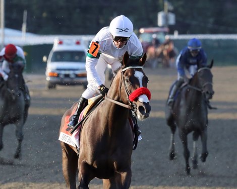 Hot Rod Charlie #7 with Flavien Prat riding won the $1,000,000 Grade 1 Pennsylvania Derby at Parx Racing in Bensalem, Pennsylvania on September 25, 2021. Photo By Taylor Ejdys/EQUI-PHOTO