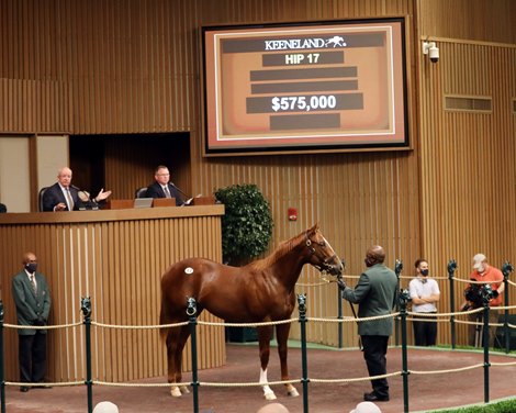 Hip 17, 2021 Keeneland September Yearling Sale