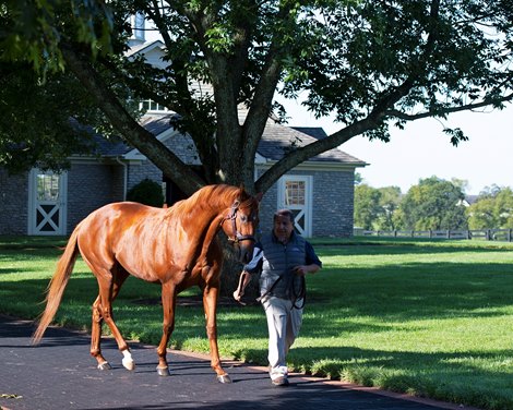 Gun Runner at Three Chimneys on Sept. 9, 2021.