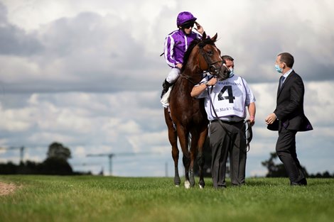 St Mark’s Basilica ridden by Ryan Moore wins the Irish Champion Stakes (Group 1).<br>
Leopardstown Racecourse.<br>
11.09.2021