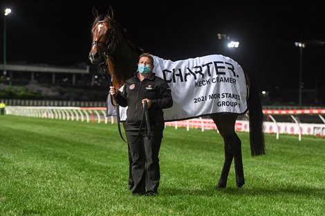 Wild Ruler after winning the Charter Keck Cramer Moir Stakes at Moonee Valley Racecourse on September 24, 2021 in Moonee Ponds, Australia. (Brett Holburt/Racing Photos) 