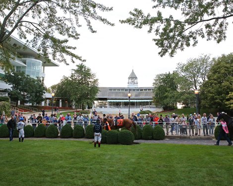 Churchill Downs to sell Arlington Heights racetrack to NFL's