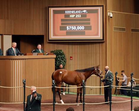 Hip 253, 2021 Keeneland September Sale